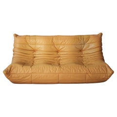 Leather togo fa by Michel Ducaroy for Ligne Roset