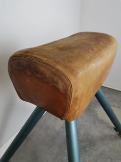 Leather Vaulting Horse, 1960s