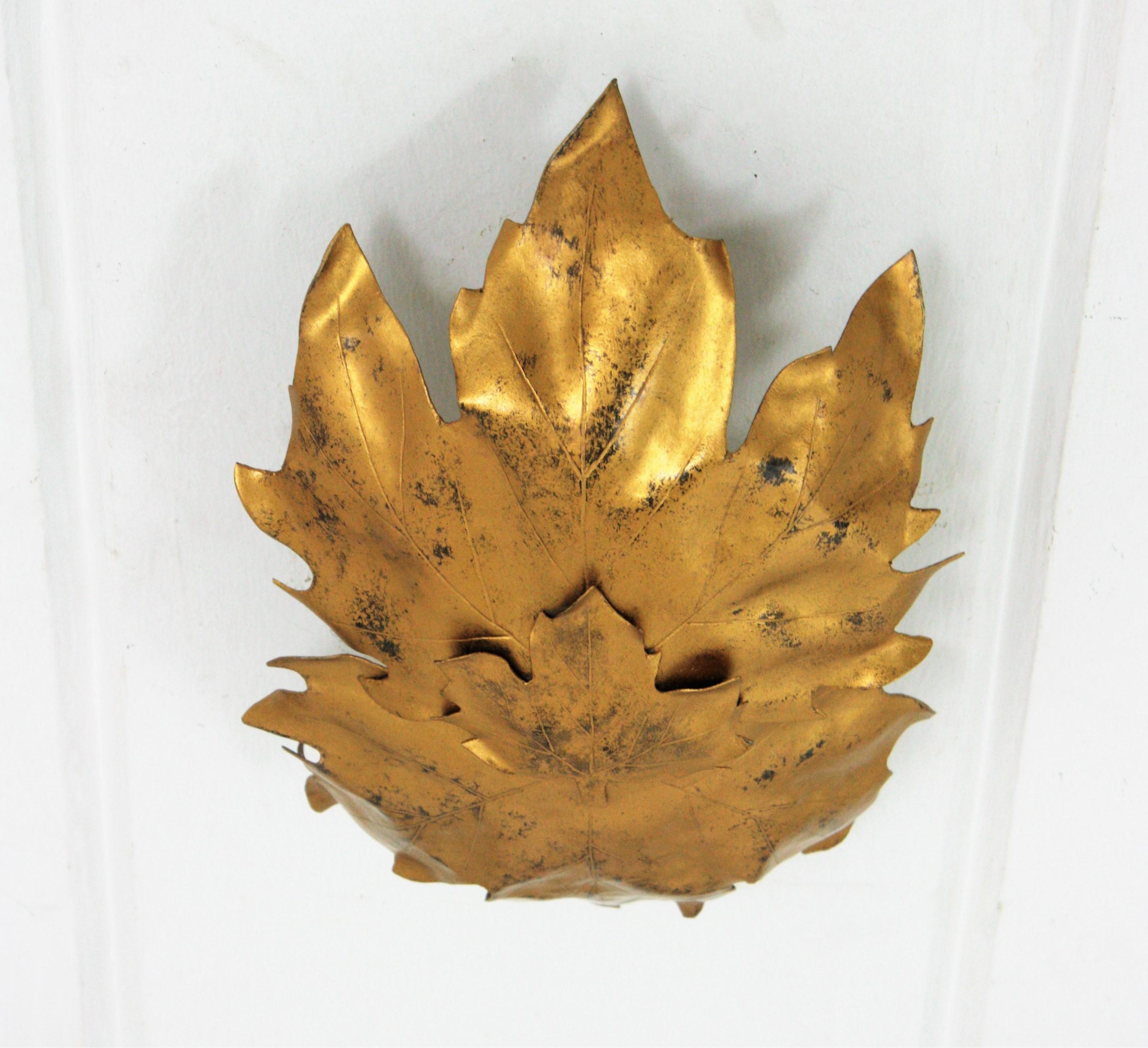 Leaves Shape Ceiling Light Fixture / Wall Sconce in Gilt Metal, 1960s For Sale 3