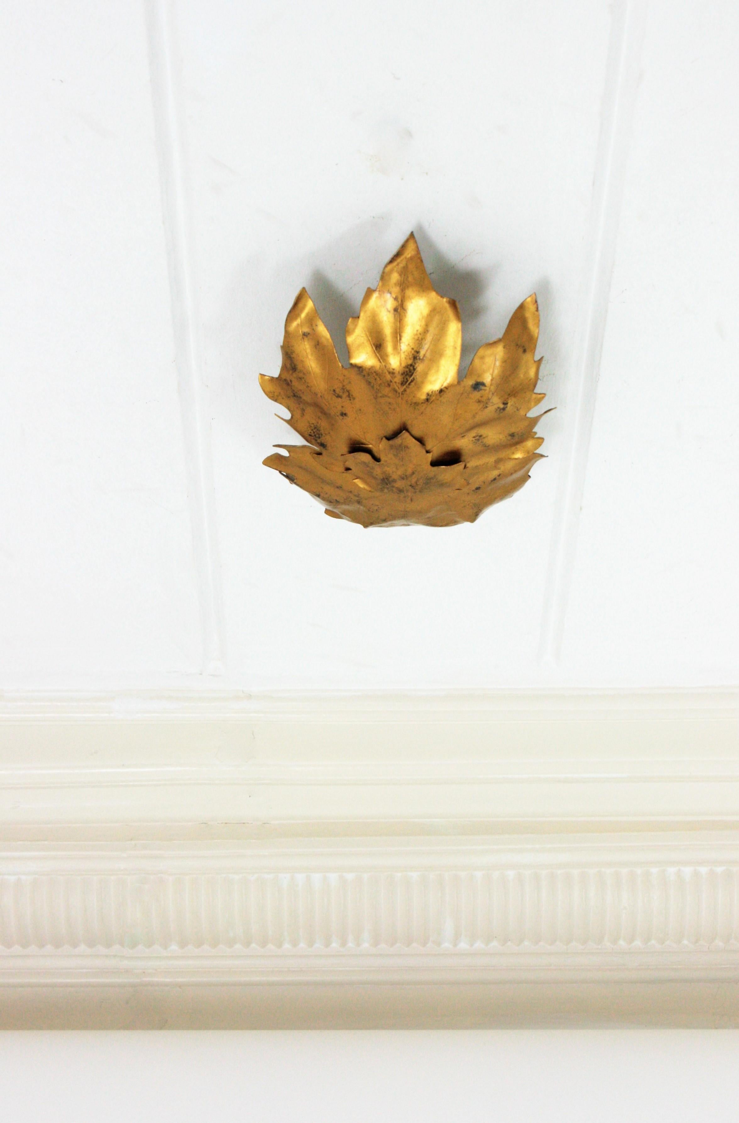 Leaves Shape Ceiling Light Fixture / Wall Sconce in Gilt Metal, 1960s For Sale 2
