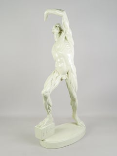 "L'Ecorche Combattant" Anatomical sculpture in patinated plaster
