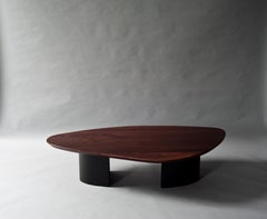 Ledge Coffee Table by Demuro Das