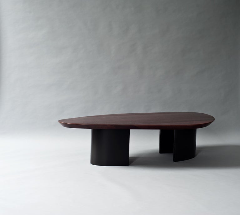 Contemporary Ledge Coffee Table by DeMuro Das For Sale