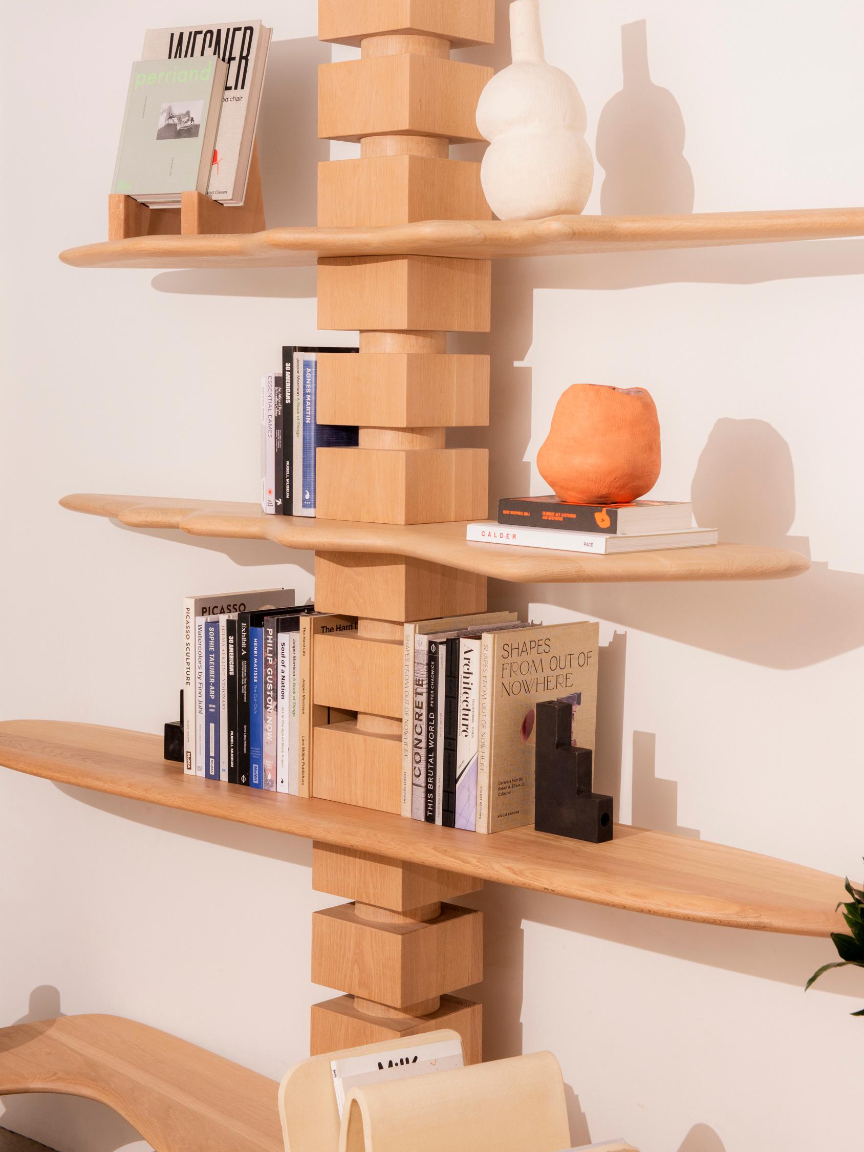 Ledoux Shelving, a Custom, Architectiural, Modular Shelving System by Piscina For Sale 2