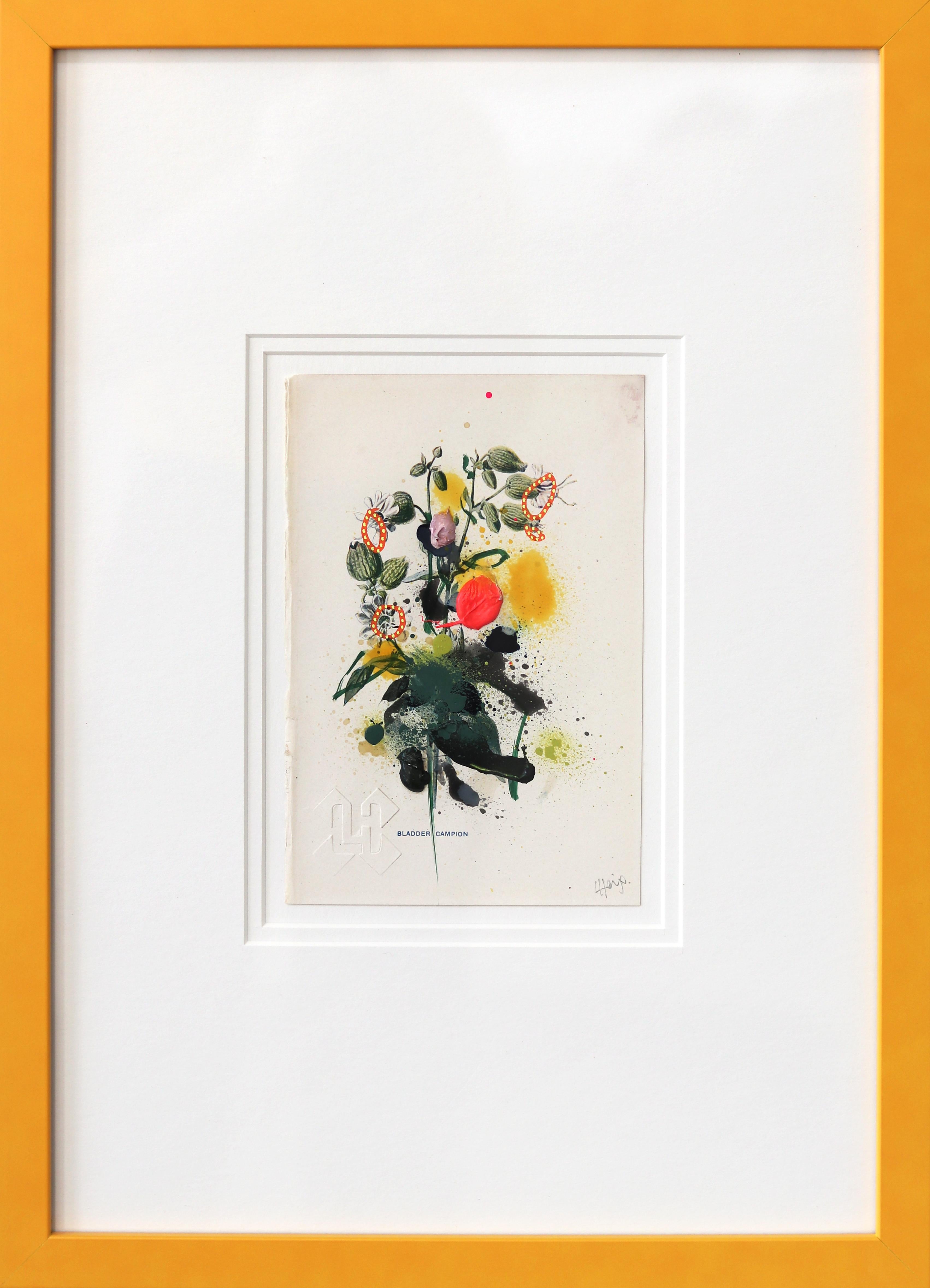 Blasenleimkraut - Gelb gerahmtes florales Kunstwerk auf antiker botanischer Buchseite