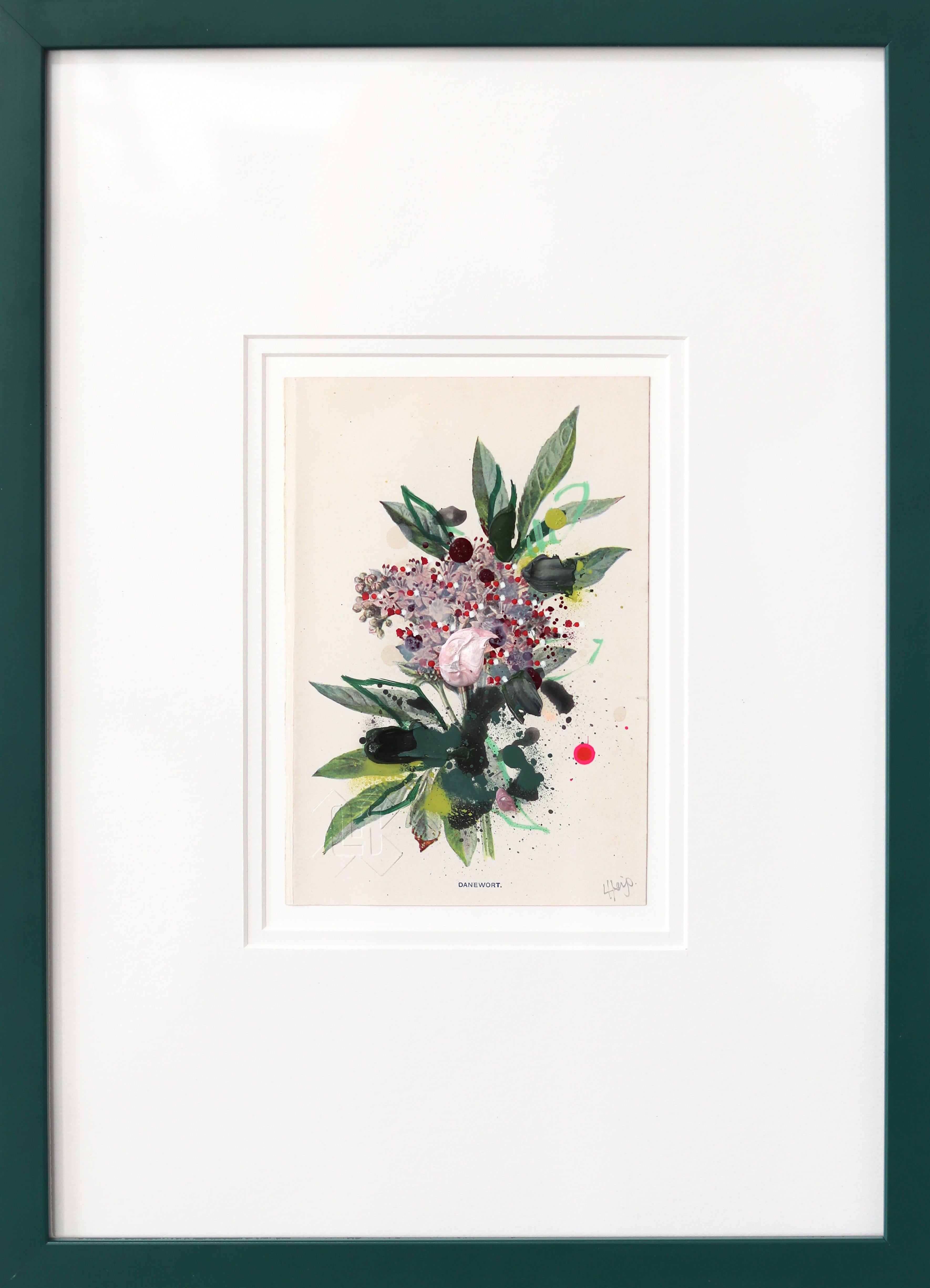 Danewort - Gerahmte dunkelgrüne Ton Floral Kunstwerk auf antiken botanischen Buch Seite