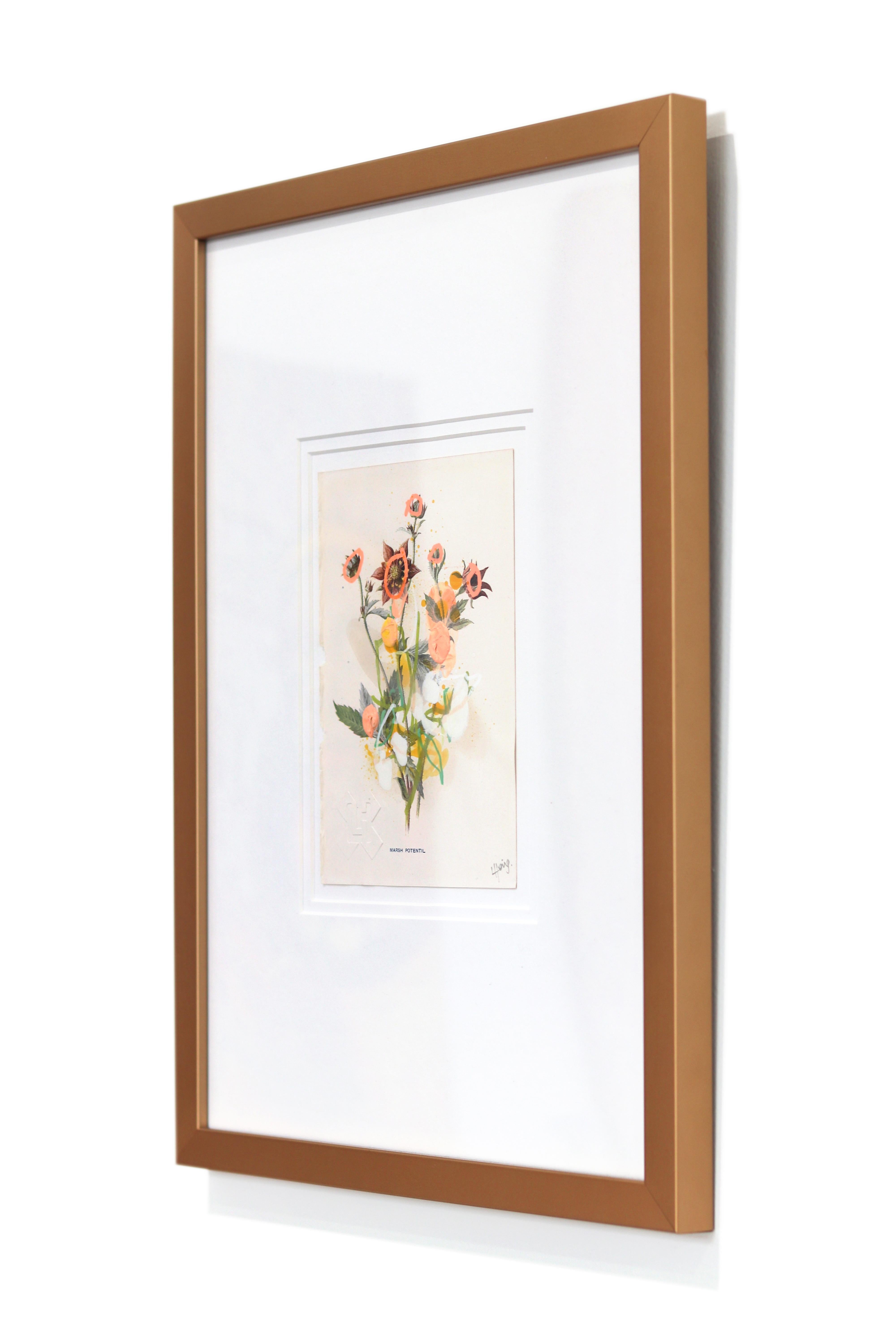 Potentille des marais - Œuvre d'art florale originale encadrée sur une page de livre botanique ancien en vente 1