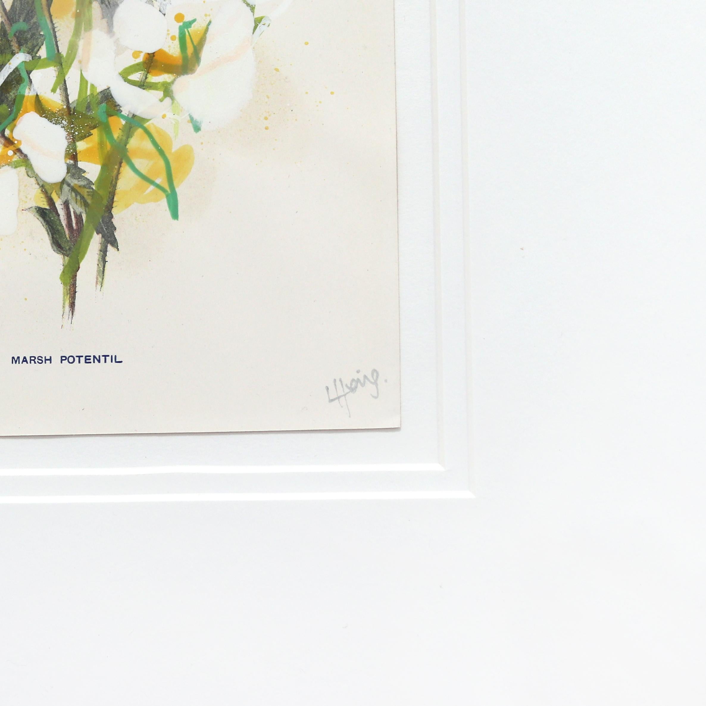 Potentille des marais - Œuvre d'art florale originale encadrée sur une page de livre botanique ancien en vente 4