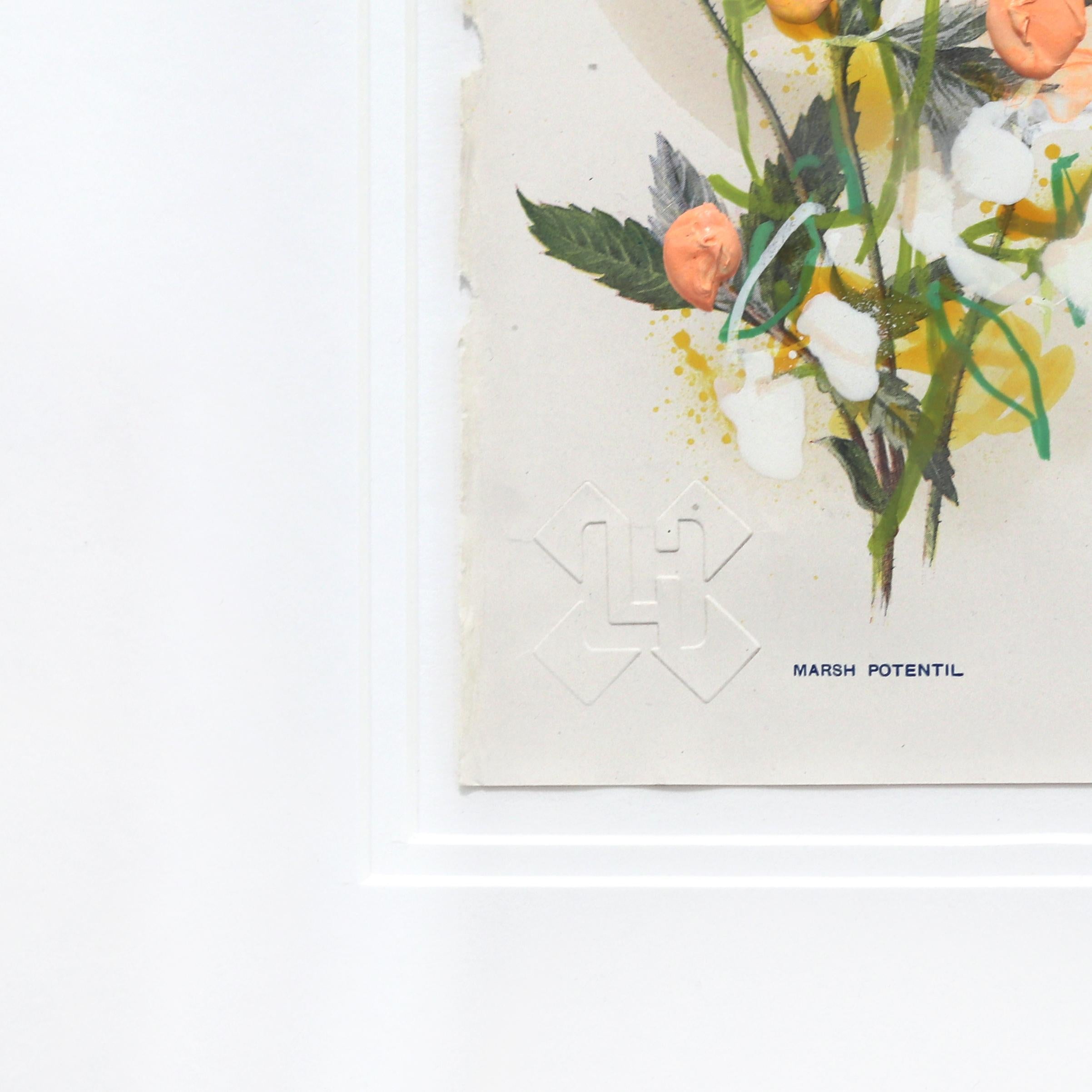 Potentille des marais - Œuvre d'art florale originale encadrée sur une page de livre botanique ancien en vente 5