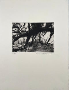 Overgrown Trees