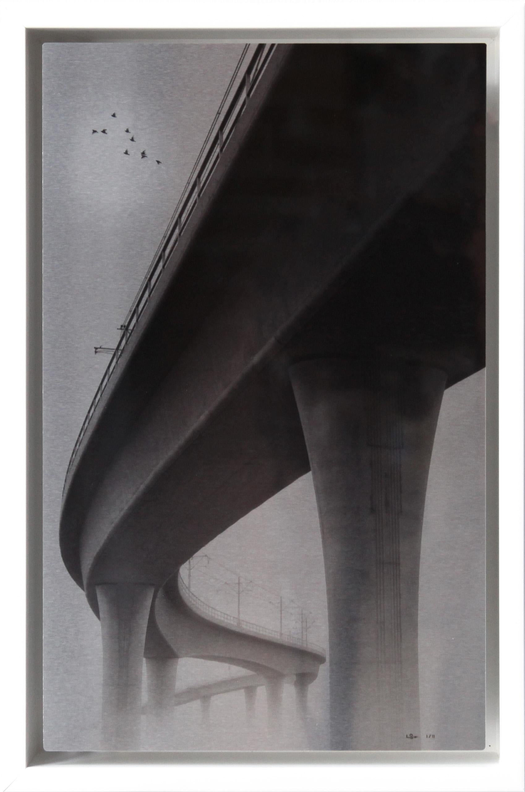 Schwarzer und weißer Metalldruck, „Die Schlange“, 2023 (Realismus), Photograph, von Lee Sie