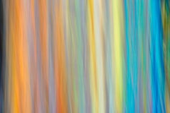 Stampa a colori del paesaggio in metallo, "Solace" 2017