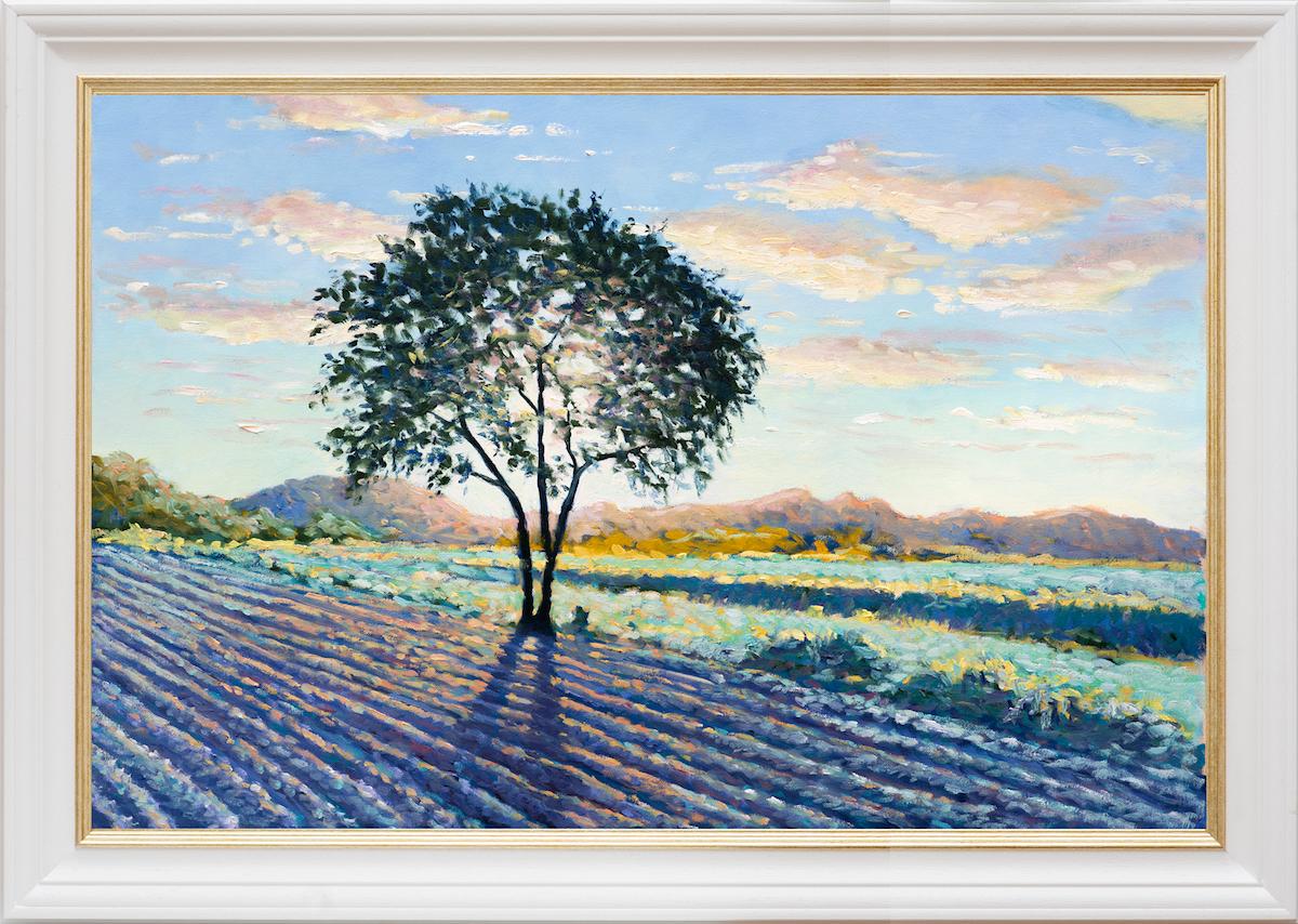 Lee Tiller has developed quite a reputation for his ability to capture the effects of light on the landscape, and in particular using the contre-jour effect of light through the canopies and leaves of trees. His impressionist style harks back to