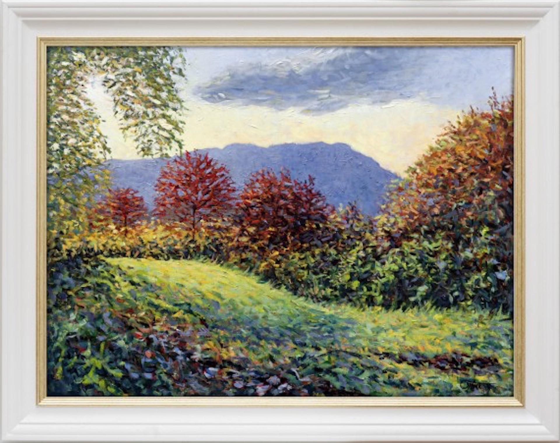 Dawnlight, Rotgold und Grün, Lee Tiller, Original Landschaftsfeldgemälde im Angebot 1