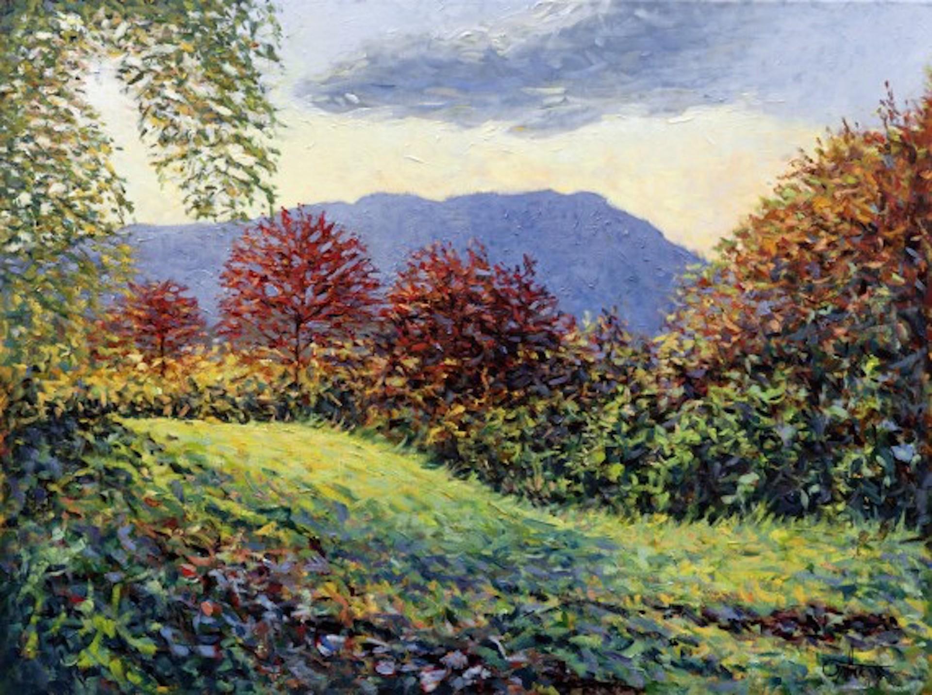 Dawnlight, Red Gold And Green, Lee Tiller, Original Landscape Field Painting