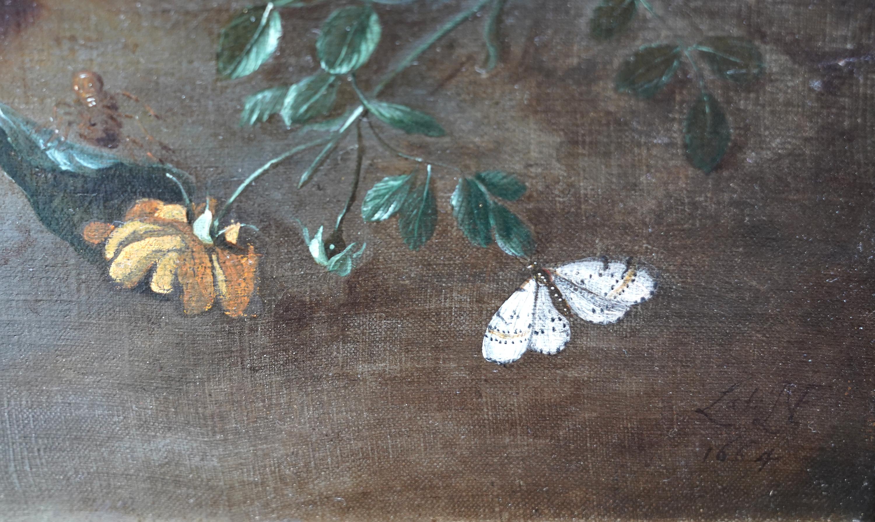 Still Life Arrangement - Dutch Old Master 17thC art oil painting fruit butterfly For Sale 2