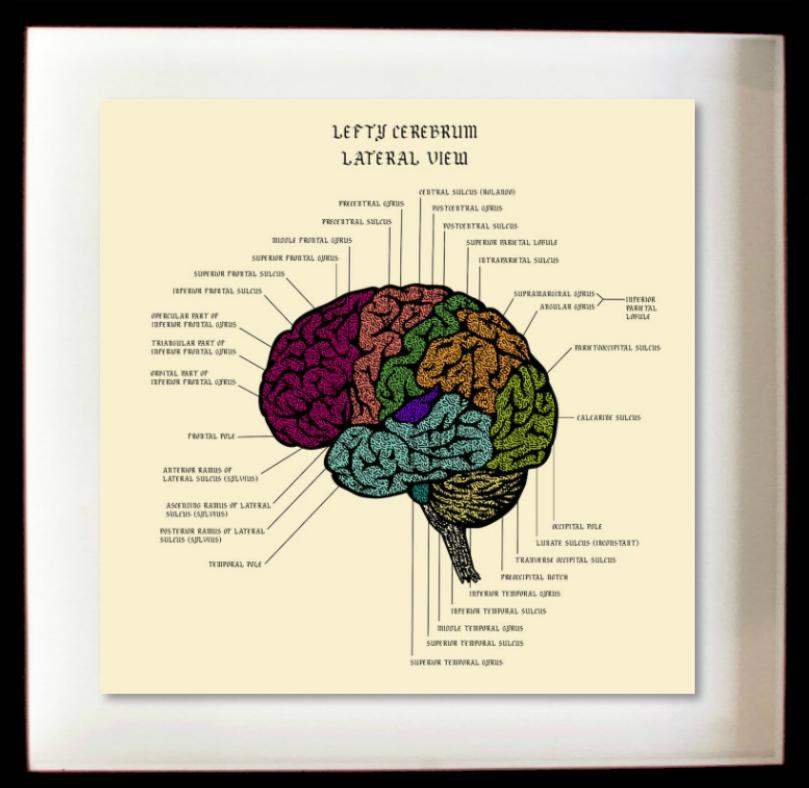 Your Brain on Drugs - Print by Lefty Out There