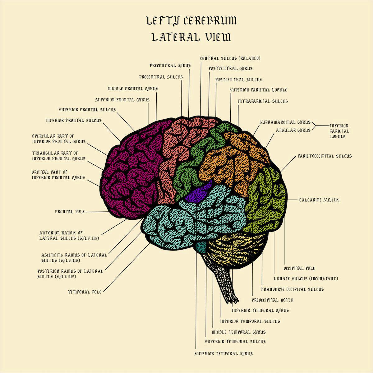Lefty Out There Print - Your Brain on Drugs