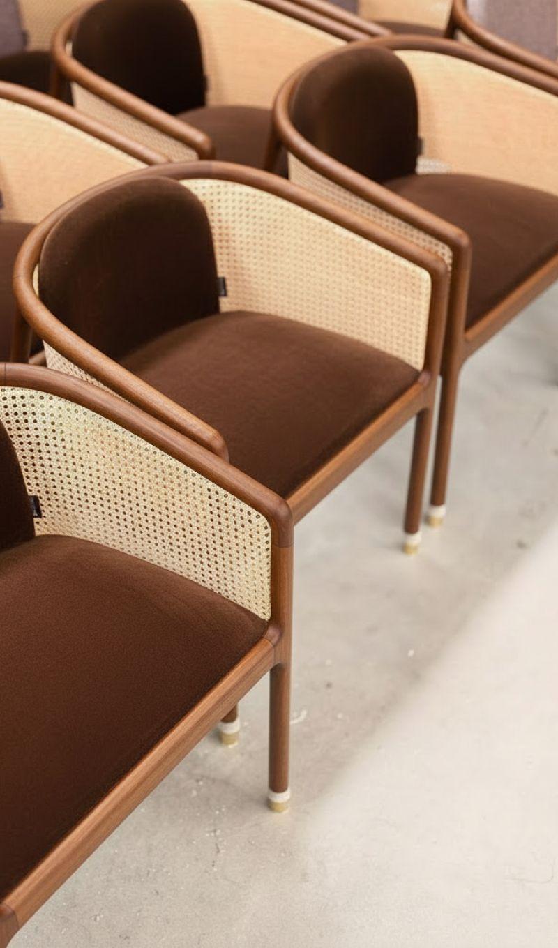 Legacy Vienna Dining Chair aus Samt in zeitlosem Design - Mondo Design Studio im Zustand „Neu“ im Angebot in NEW YORK, NY