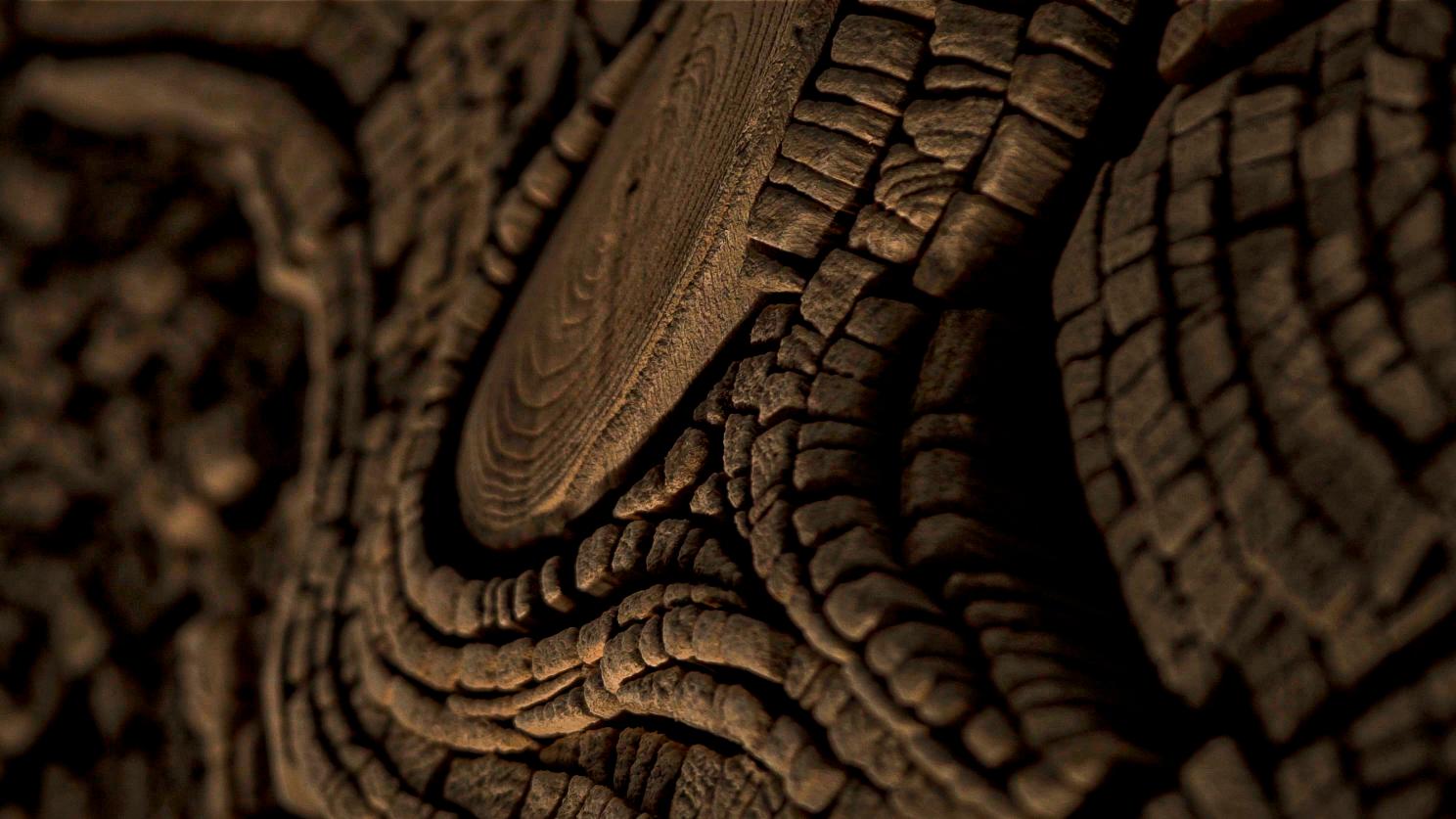 Wood Legend of Gondwana Wall Decoration by TOR-Design For Sale