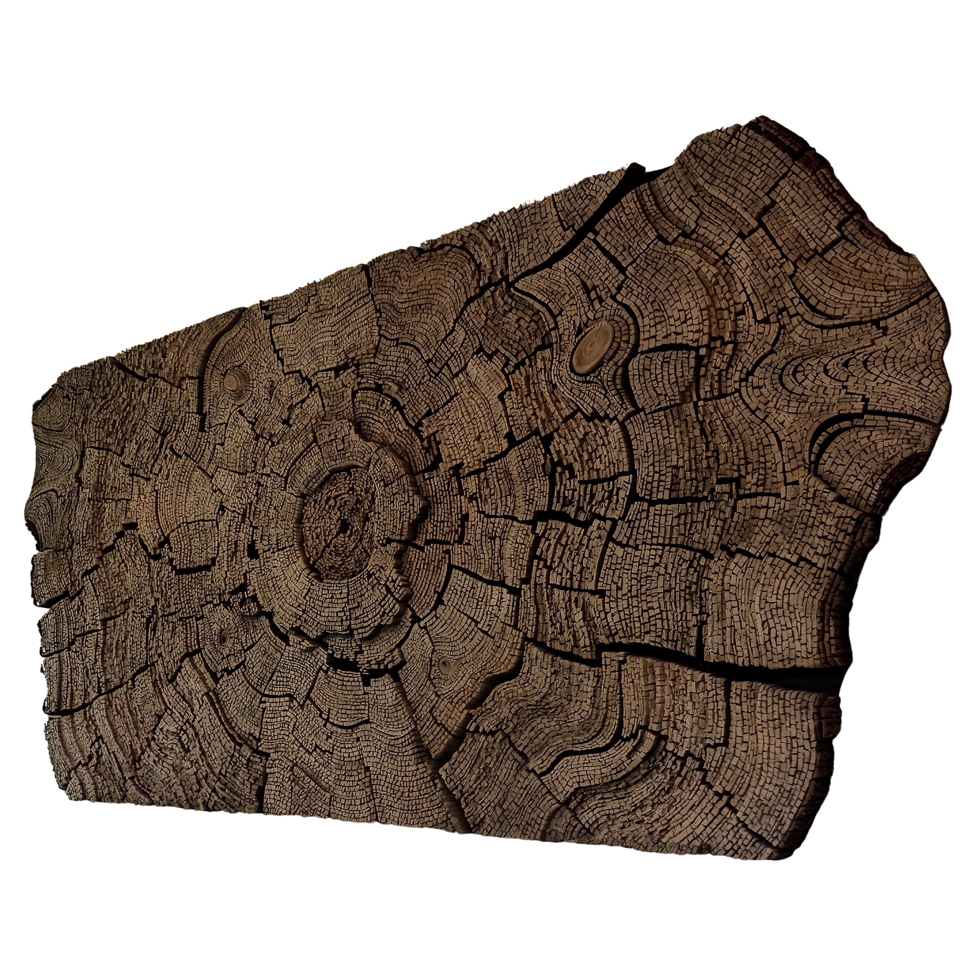 Legend of Gondwana Wall Decoration by TOR-Design For Sale
