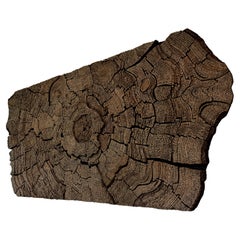 Legend of Gondwana Wall Decoration by TOR-Design