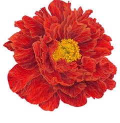 Peonía IV