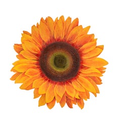 Sunflower III