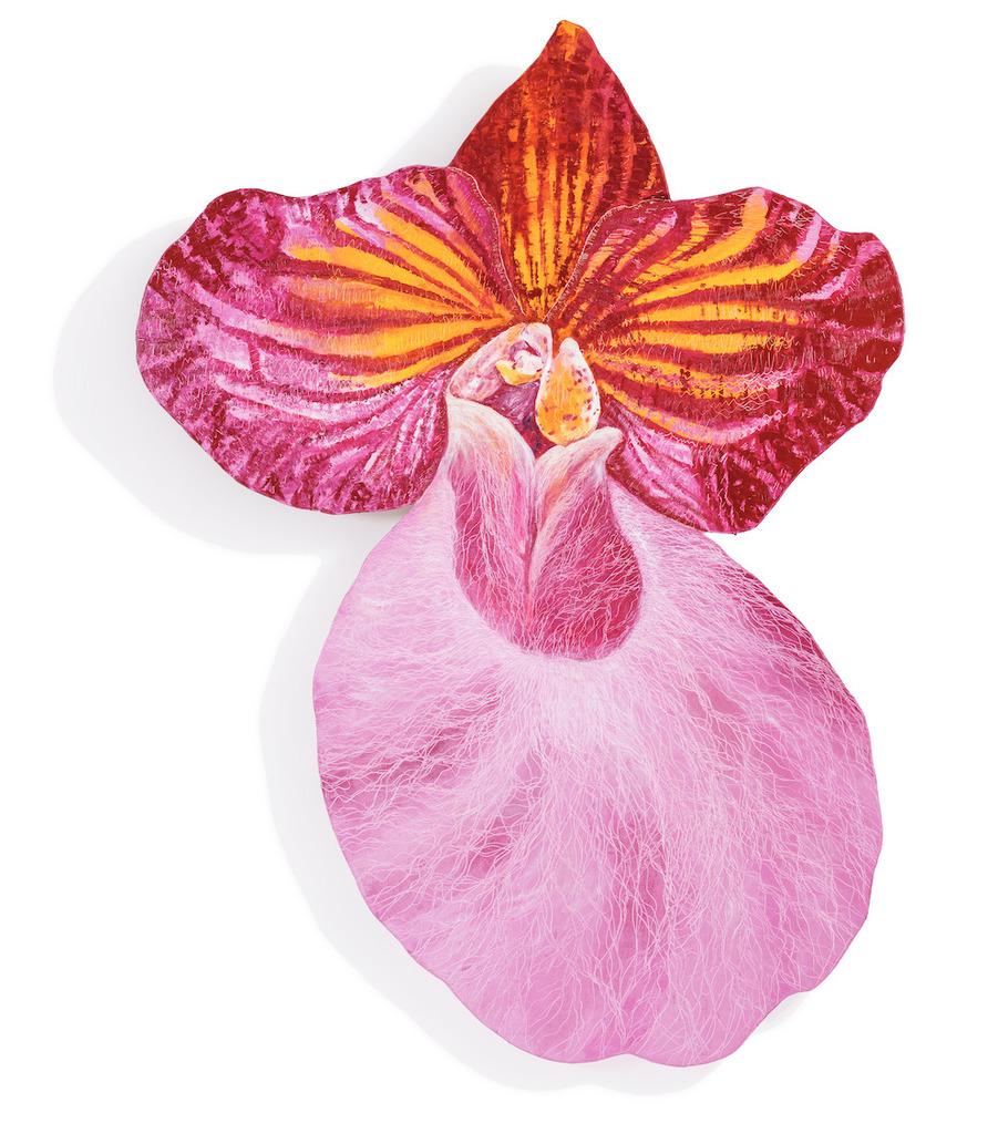 Leigh Wen Still-Life Painting - Taiwanese Lady Slipper 1