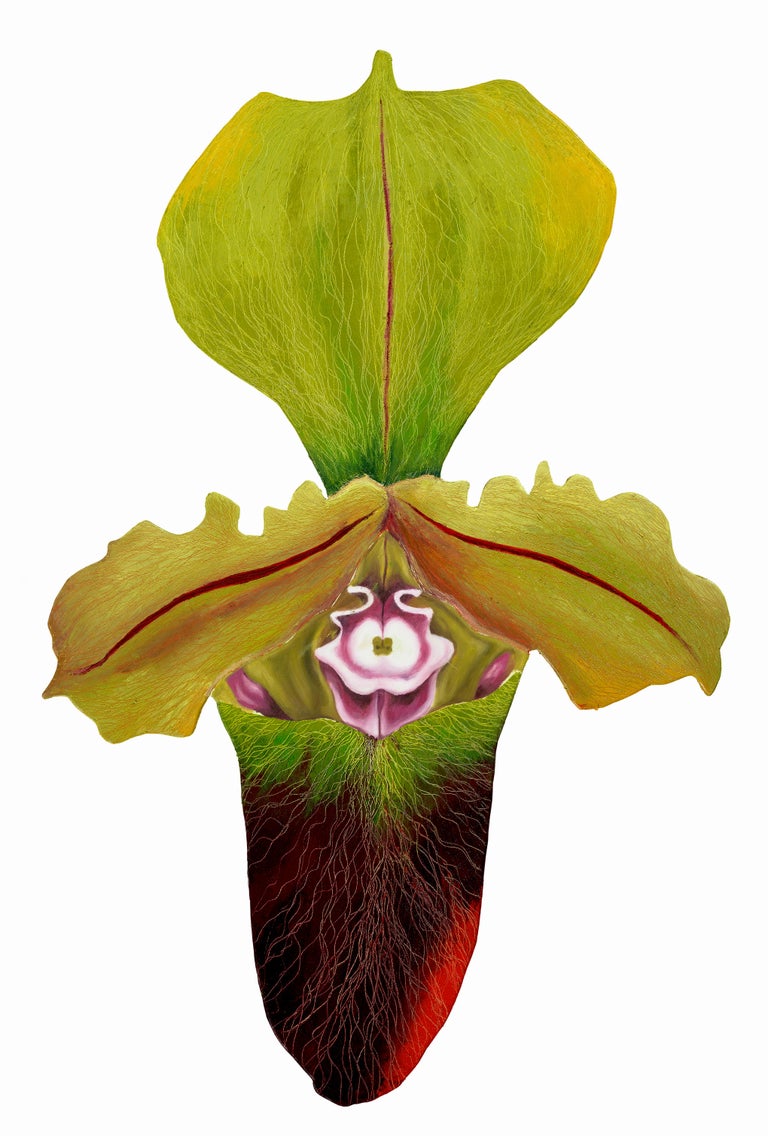 Leigh Slipper
