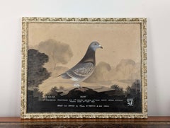Leighton Studios Maesteg Watercolour Portrait of Racing Pigeon