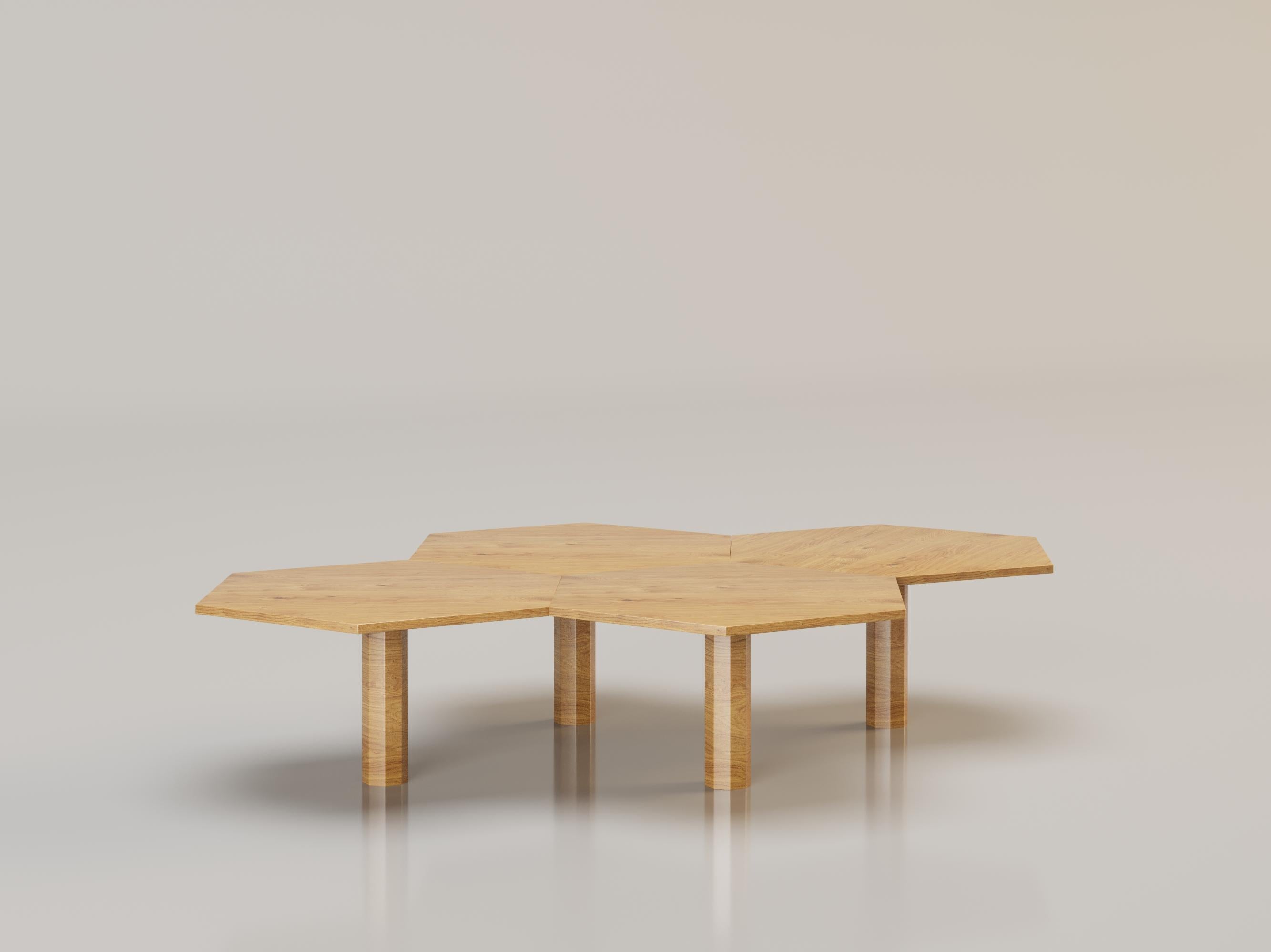 L'ÉLÉGANTE Coffee Table by Alexandre Ligios

Oak Wood

L 59 x H 35 x D 18

The oak coffee table embodies timeless elegance and the natural robustness of wood. Its slender cylindrical legs add a touch of finesse and modernity, creating a perfect
