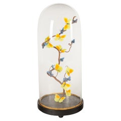 "Lemon Tree" by Hasharat: 19th-C Glass Dome w/ Contemporary Butterfly Display