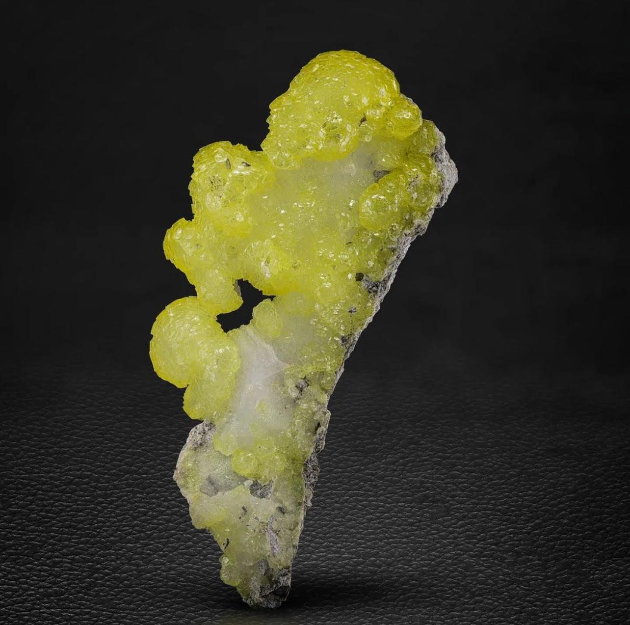 Product Information:

Specimen Type: Brucite Crystals on Matrix

Weight: 268 grams

Dimensions: H: 20 x W: 8 x D: 1.5 cm

Origin: Baluchistan Province, Pakistan

Treatment: None

Description:

This striking specimen features lemon-yellow botryoidal