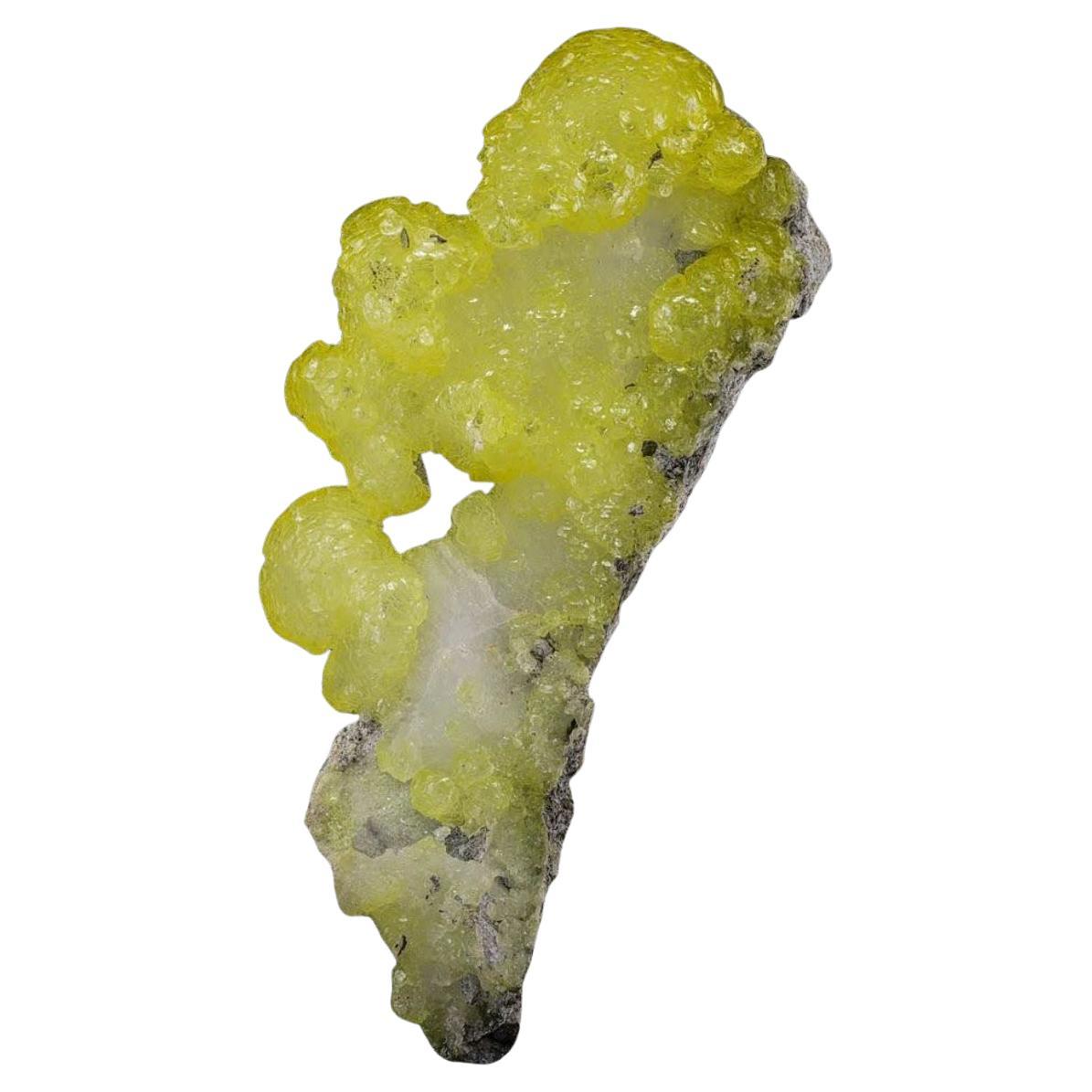 Crystals Botryoidal Brucite jaune citron sur matrice chromatique du Pakistan