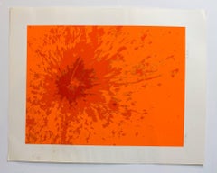 Lunar Landscape Abstract Signed Numbered Screenprint Orange