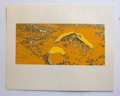 Sérigraphie jaune de paysage abstrait Lunar signée et numérotée