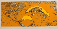 Vintage Lunar Landscape Abstract Signed Numbered Screenprint Yellow
