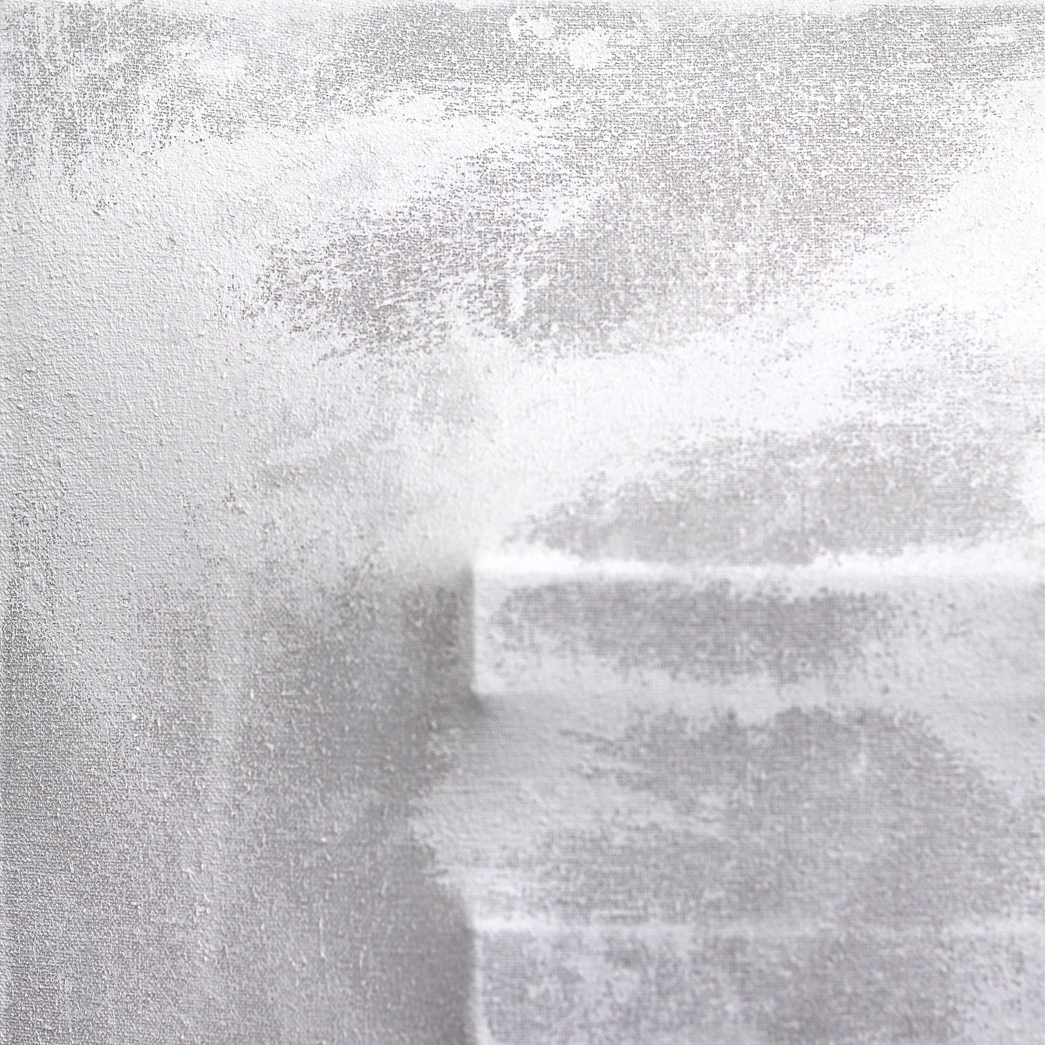 Artist Len Klikunas paints to modify experienced reality through visual perception. His art is a mix of art and architecture, hovering between painting and sculpture. It employs shizen (自然): the Japanese concept of naturalness, absence of pretense,