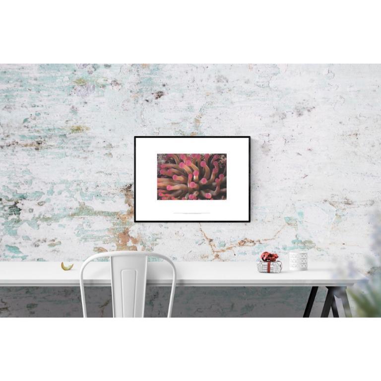 This is an original, limited edition exhibition poster by Leni Riefenstahl, hand-numbered out of 250 in pencil. The poster is a rare collectible due to its limited print run and historical significance. Leni Riefenstahl is a controversial figure in
