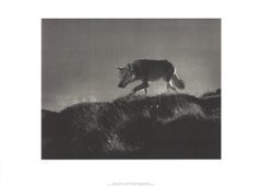 Leni Riefenstahl "Il lupo nel film Tiefland" 2002- Poster