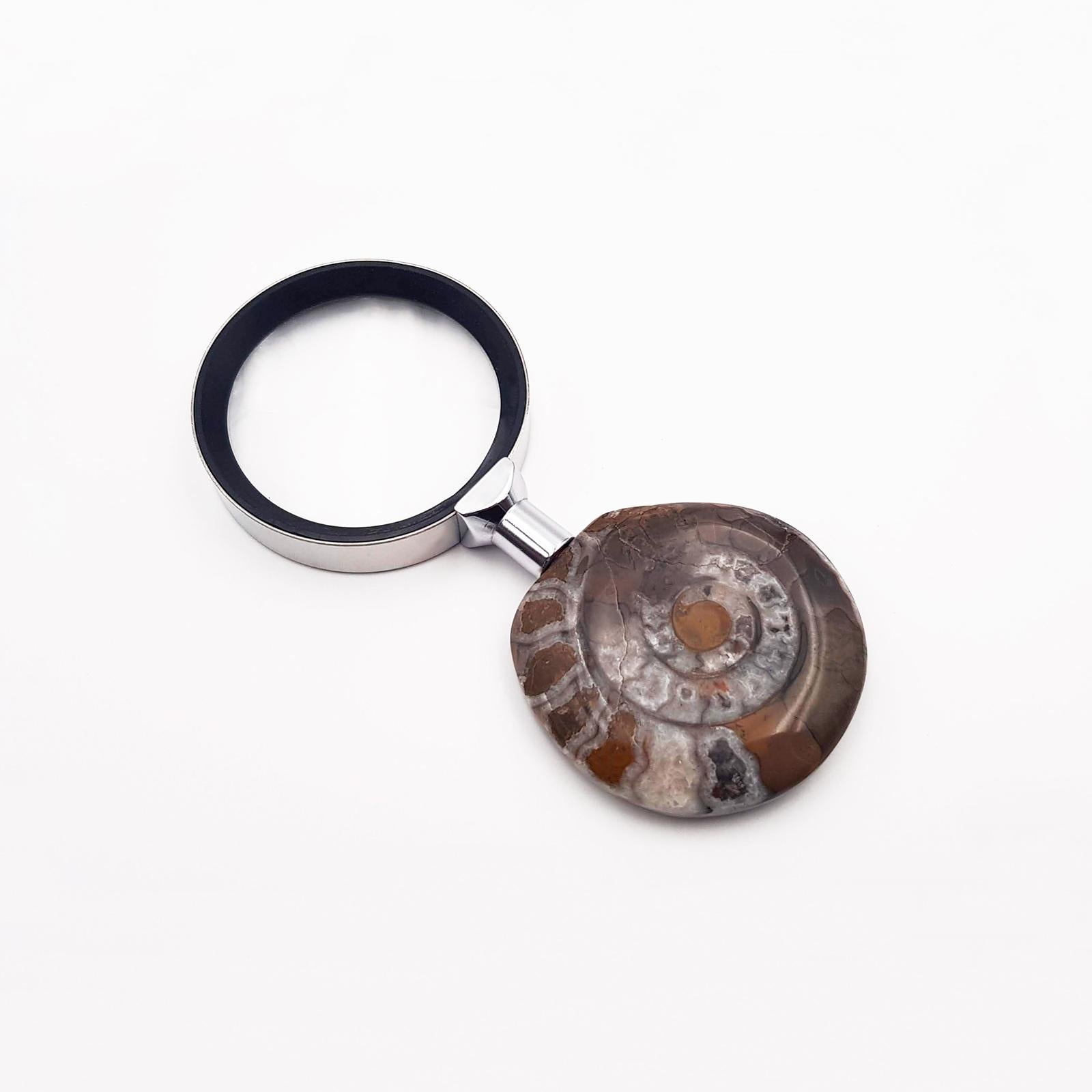 Modern LENTE DI INGRANDIMENTO DA TAVOLO con impugnatura ammonite fossile autentica  For Sale