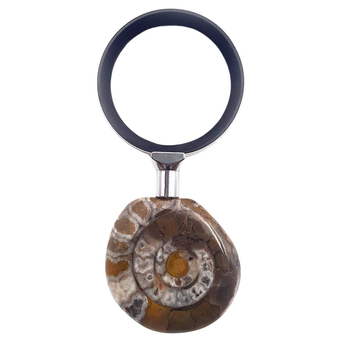 LENTE DI INGRANDIMENTO DA TAVOLO con impugnatura ammonite fossile autentica  For Sale