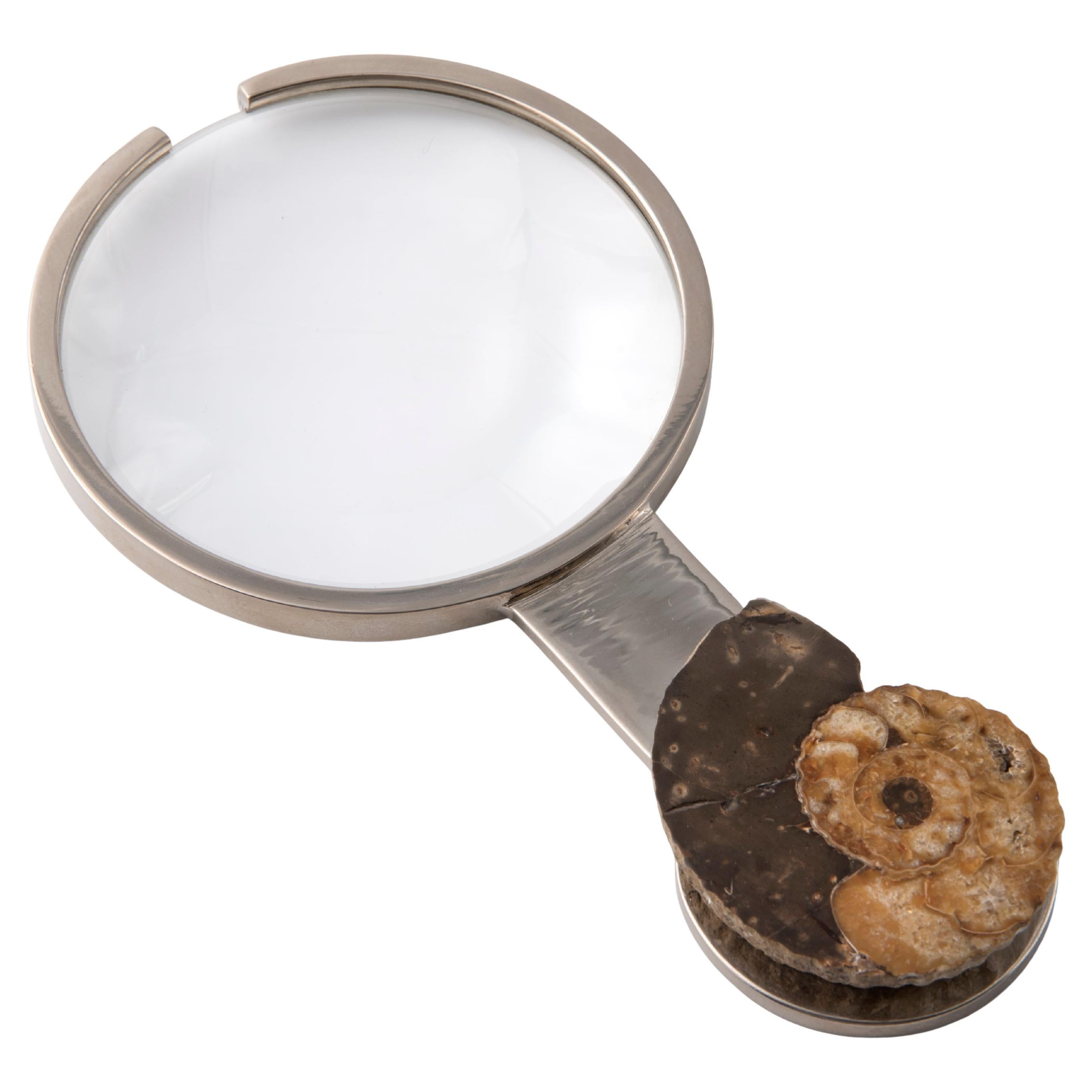 Magnifying glass ammonite handle real fossil shell one piece