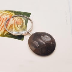 Magnifying glass with Goniatite handle  of the Sahara - authentic ammonite