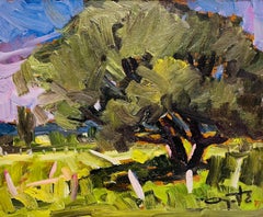 Landschaft in Quebec