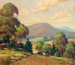 Berkshire Hills in Summer