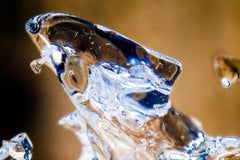 "Leo", édition limitée, photographie abstraite de Marko Milić