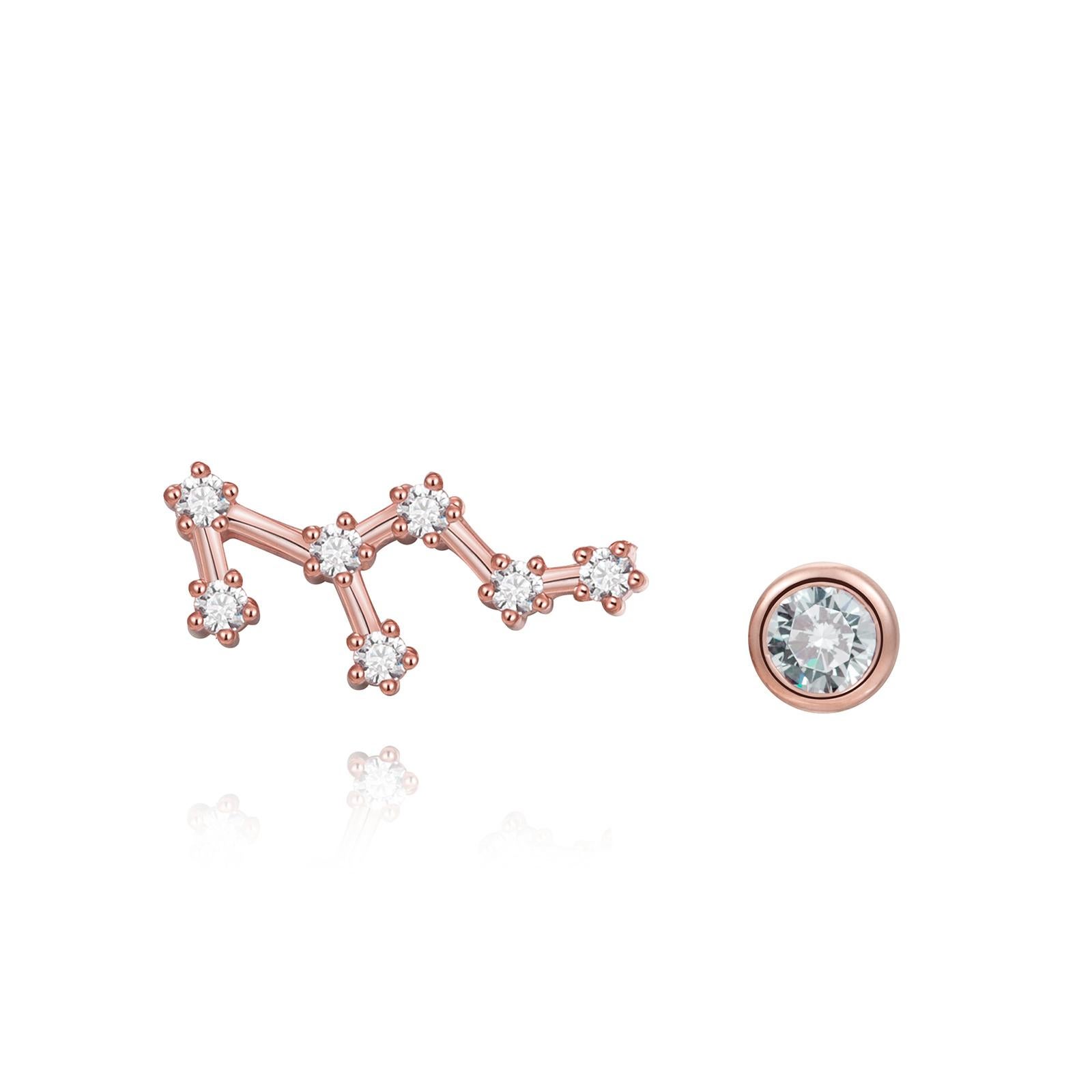 You are unique and your zodiac tells part of your story.  How your zodiac is displayed in the beautiful nighttime sky is what we want you to carry with you always. These leo constellation earrings share a part of your personality with us all.  .925