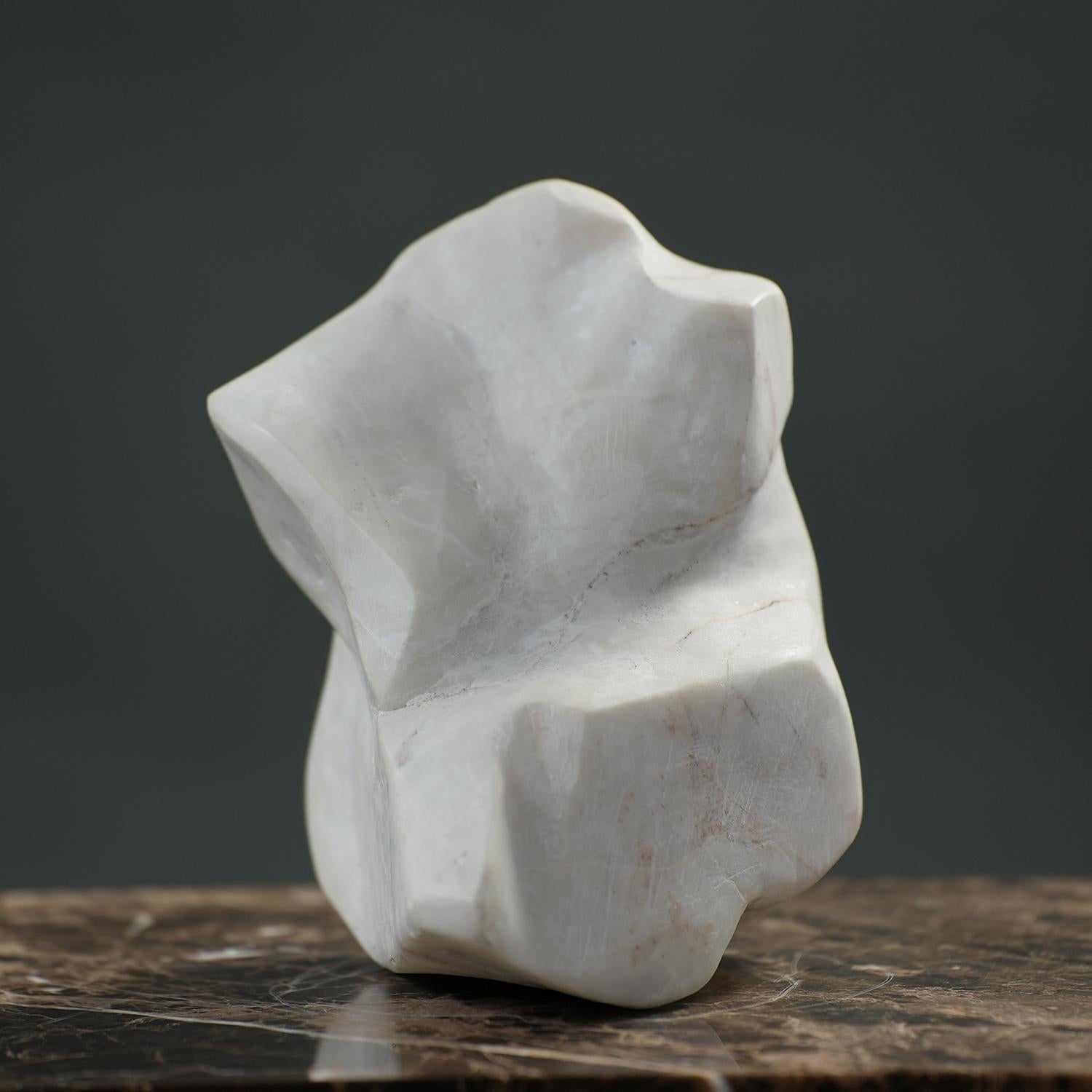Abstract Form - Sculpture by Leo De Beer